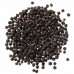 Black Pepper Corns (Huge Grinder) - Carmencita (190 g)