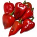 Red ‘Piquillo’ Pepper Strips in Oil and Garlic - Serrano (350 g)